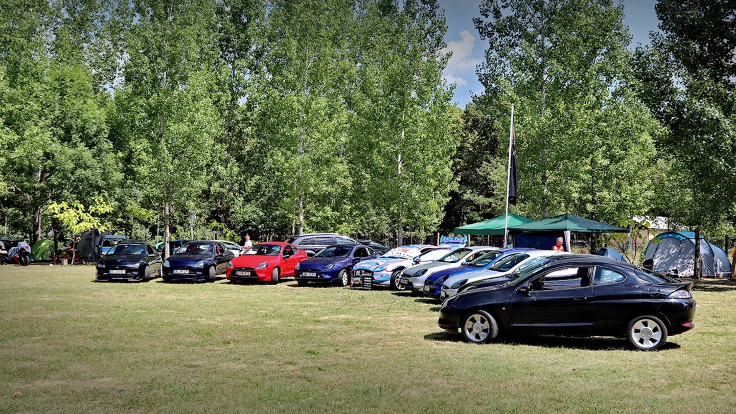 Ford Cars on field