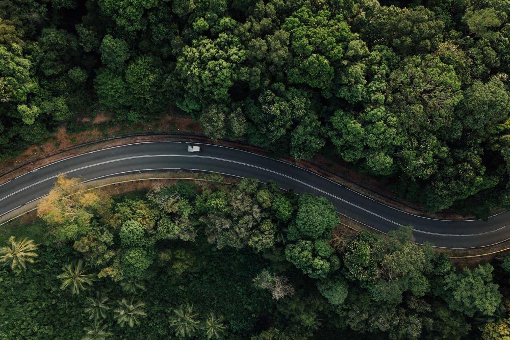 Straße im Wald Ansicht aus der Vogelperspektive