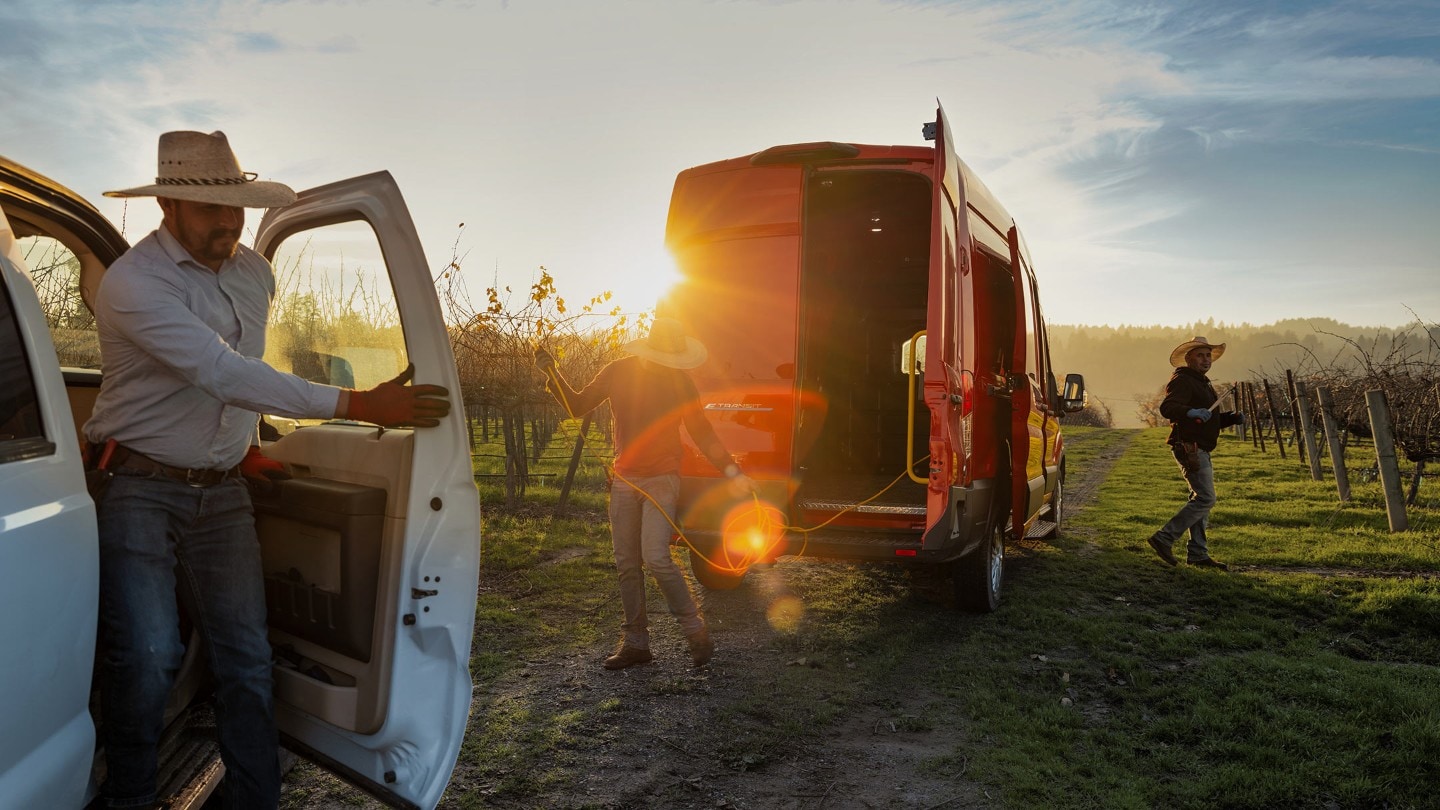 Ford Transit in Rot in der Heckansicht und Arbeiter in einem Weinberg