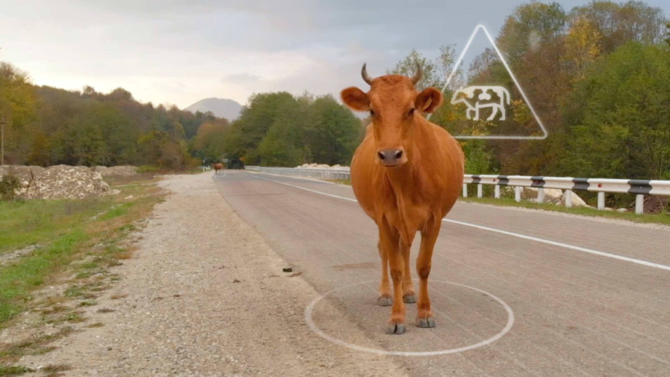 Eine Kuh steht auf einer Landstraße mit animierter Gefahrenhinweis-Grafik