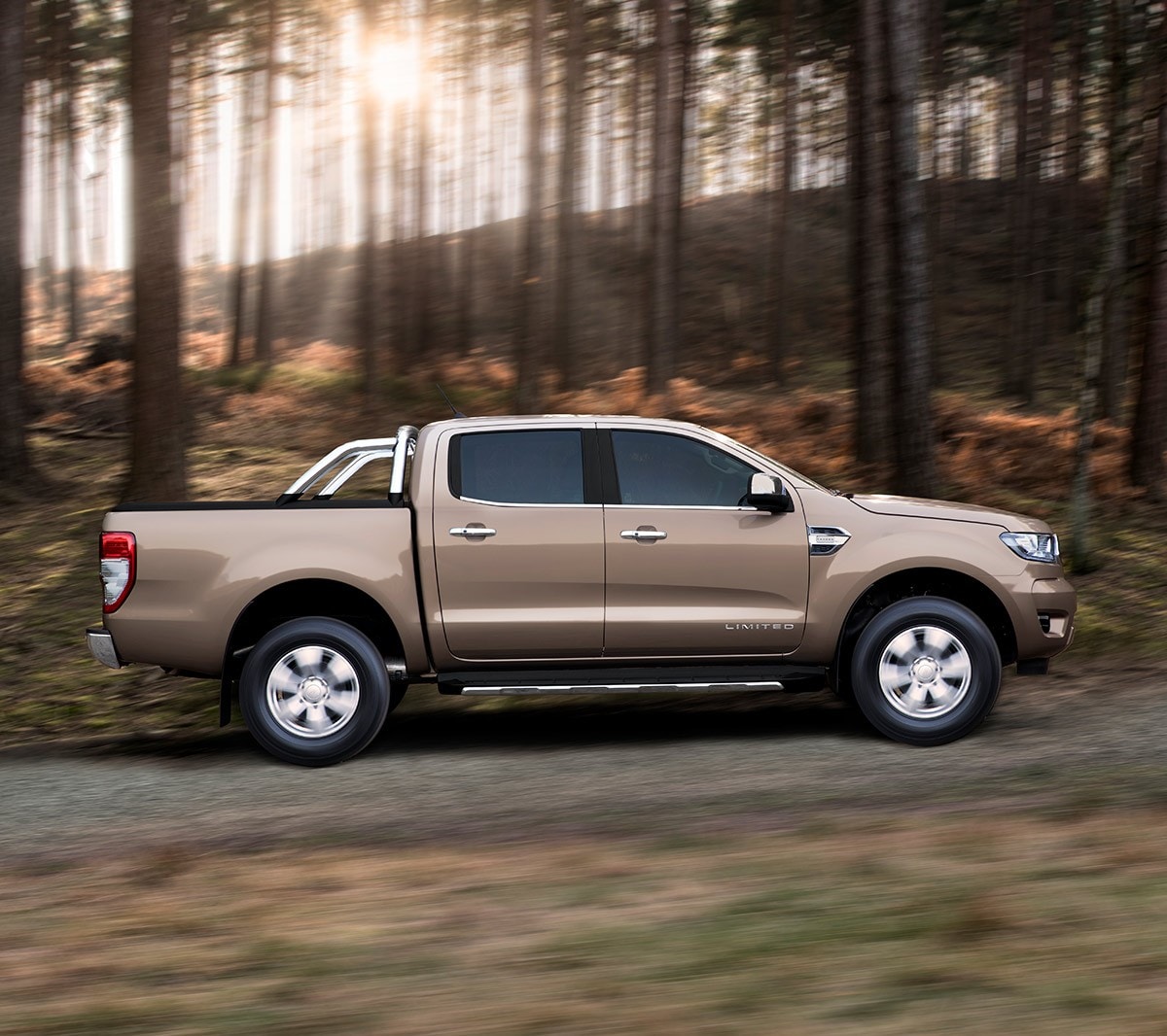 Ford Ranger Braun Seitenansicht parkt auf Forstweg